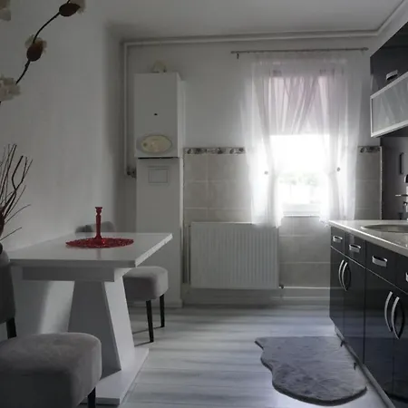 Royal Apartament Regim Hotelier * ブカレスト